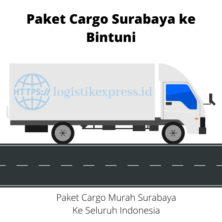 Paket Cargo Surabaya ke Bintuni